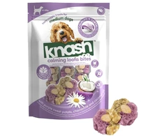 Knash - WL Bites - Pumpkin/Ginger - 100gr
