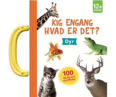 KNYGA Forlaget Tukan Kig engang - Ką tai reiškia?