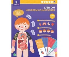 mierEdu – Magnetinė mokymosi dėžutė – Viskas apie kūną ir emocijas (danų k.) – (ME097D)