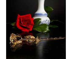 Golden Rose Mikamax - 24 karatų auksinė rožė