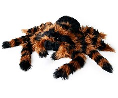 Mikamax - milžiniškas tarantulas