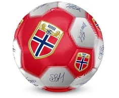 NFF - Balta futbolo kamuolys - 5 dydis (8014942)