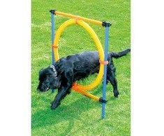 Pawise – Agility žiedas 55 cm – (636.9004)