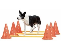 PAWISE – judrumo treniruočių rinkinys 30 cm – (636.9010)