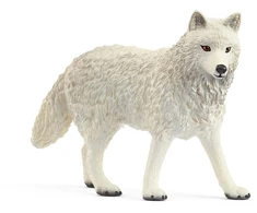 SCHLEICH WILD LIFE Arktinis vilkas