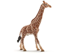 Schleich figūrėlė Žirafos patinas