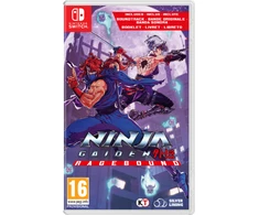 Dotemu Silverlit Ninja Gaiden: Įniršio banga