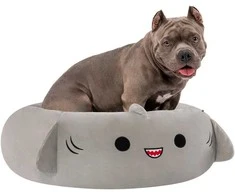Squishmallows - augintinio guolis - ryklio formos 76 cm (JPT0097-L)