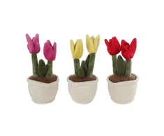 Tulip Parnešk mane namo - pliušinis augalas tulpė (154934)