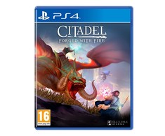 Virtual Basement Citadel: Forged with Fire