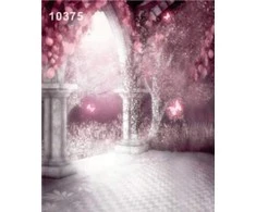 Fancier Fonas WOB 3002 10375