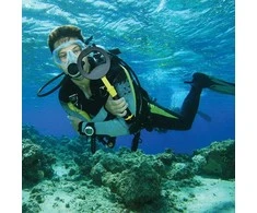Nokta Pulse Dive