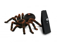 Nuotoliniu būdu valdoma tarantula 17cm – Buki France