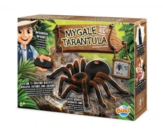 Nuotoliniu būdu valdoma tarantula 17cm – Buki France