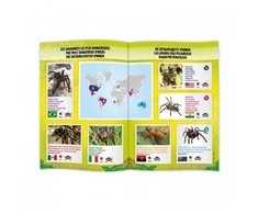 TARANTULAS VALDOMAS RADIJO BANGOM