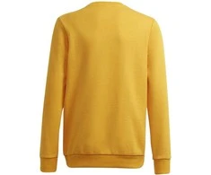 Adidas Džemperis Paaugliams B Bl Sweat Žalias Geltona GS4274