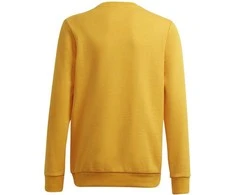 Adidas Džemperis Paaugliams B Bl Sweat Žalias Geltona GS4274