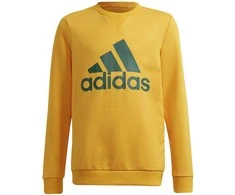 Adidas Džemperis Paaugliams B Bl Sweat Žalias Geltona GS4274