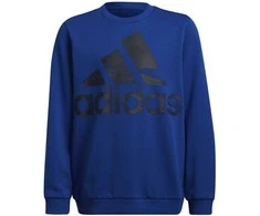 Adidas Džemperis Berniukams Logo Sweat Mėlyna HF1824