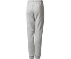 Adidas Kelnės Paaugliams Yb Sid Pants Pilkas CF2457