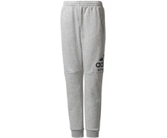 Adidas Kelnės Paaugliams Yb Sid Pants Pilkas CF2457