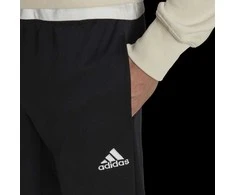 Adidas Kelnės Vyrams Ent22 Tr Pant Juodas HC0332