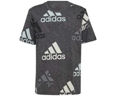 Adidas Marškinėliai Berniukams U Bl Logo Tee Pilkas HP0819
