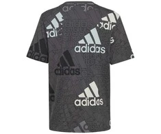 Adidas Marškinėliai Berniukams U Bl Logo Tee Pilkas HP0819