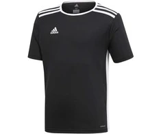 Adidas Marškinėliai Paaugliams Entrada 18 Jsyy Juodas CF1041