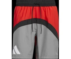 Adidas Šortai Vyrams Galaxy Short Pilkas Raudona HE2902