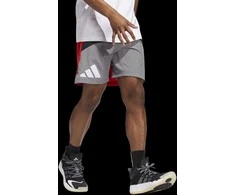 Adidas Šortai Vyrams Galaxy Short Pilkas Raudona HE2902