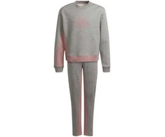Adidas Sportinis Kostiumas Mergaitėms G Bos Co Ts Pilkas Rožinė H57225