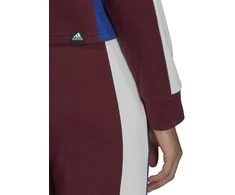 Adidas Sportinis Kostiumas Moterims W Ts Big Logo Burgundy H48550