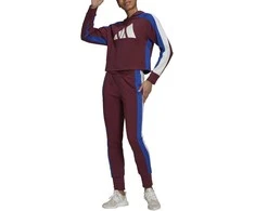 Adidas Sportinis Kostiumas Moterims W Ts Big Logo Burgundy H48550