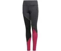 Adidas Tamprės Paaugliams Yg TR Cb Tights Pilkas Rožinė DN8428