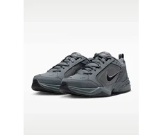 Nike Avalynė Vyrams Air Monarch IV Pilkas 415445 020