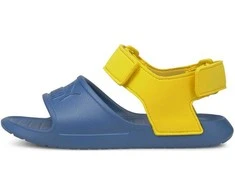 Puma Avalynė Vaikams Divecat V2 Injex Geltona Mėlyna 369546 07