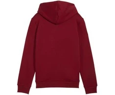 Puma Sportinis Kostiumas Paaugliams TeamRise Tracksuit Jr Juodas 658655 03