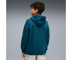 Puma Džemperis Paaugliams Ess 2 Color No.1 Logo Hoodie Fl Mėlyna 685822 36