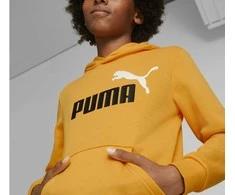 Puma Džemperis Paaugliams Ess+ 2Col Big Logo Geltona 586987 39