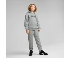 Puma Džemperis Paaugliams Ess No, 1 Logo Hoodie Fl Pilkas 684908 03