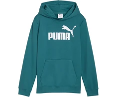 Puma Džemperis Paaugliams Ess No.1 Logo Hoodie Žalias 684909 41