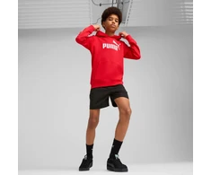 Puma Džemperis Paaugliams Ess No.1 Logo Hoodie Raudona 684909 11