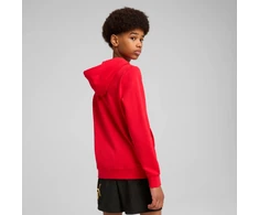 Puma Džemperis Paaugliams Ess No.1 Logo Hoodie Raudona 684909 11
