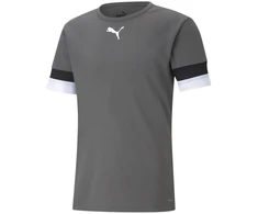 Puma Futbolo Marškinėliai Vyrams TeamRise Jersey Pilkas 704932 13