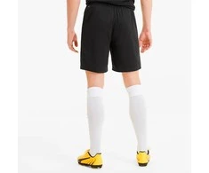 Puma Futbolo Šortai Vyrams TeamGoal 23 Knit Shorts Juodas 704262 03