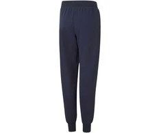 Puma Kelnės Paaugliams Alpha Sweatpants Mėlyna 847290 06