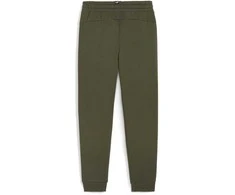 Puma Kelnės Paaugliams Ess + 2 Col Logo Pants Fl Khaki 586988 77