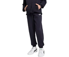 Puma Kelnės Paaugliams Ess No. 1 Logo Sweatpants Mėlyna 684914 16