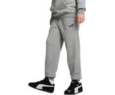 Puma Kelnės Paaugliams Ess No. 1 Logo Sweatpants Pilkas 684914 03